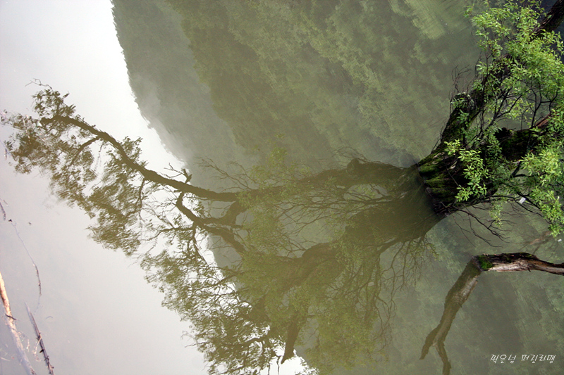 download.php?grpid=Pur8&fldid=_album&dat