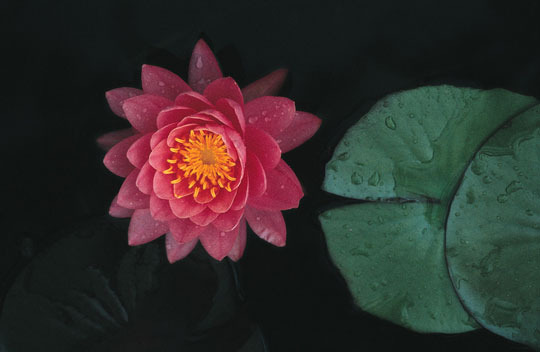 À̹ÌÁö¸¦ Ŭ¸¯ÇÏ¸é ¿øº»À» º¸½Ç ¼ö ÀÖ½À´Ï´Ù.