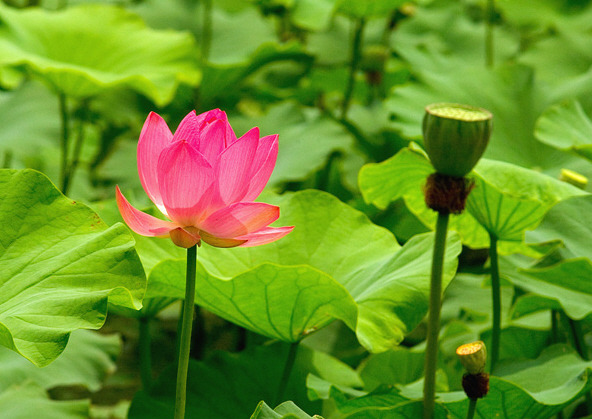 �̹����� Ŭ���ϸ� ������ ���� �� �ֽ��ϴ�.