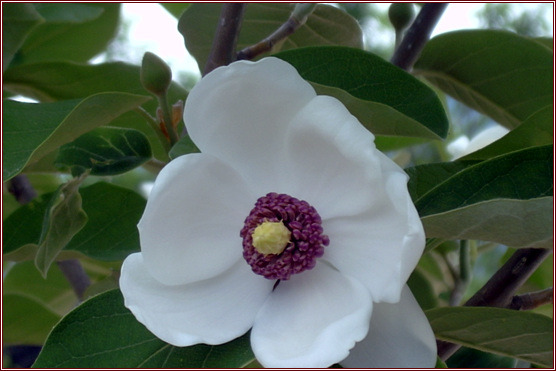 �̹����� Ŭ���ϸ� ������ ���� �� �ֽ��ϴ�.