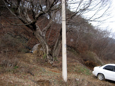 탁이네 이미지
