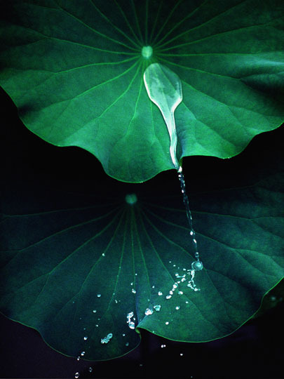 �̹����� Ŭ���ϸ� ������ ���� �� �ֽ��ϴ�.